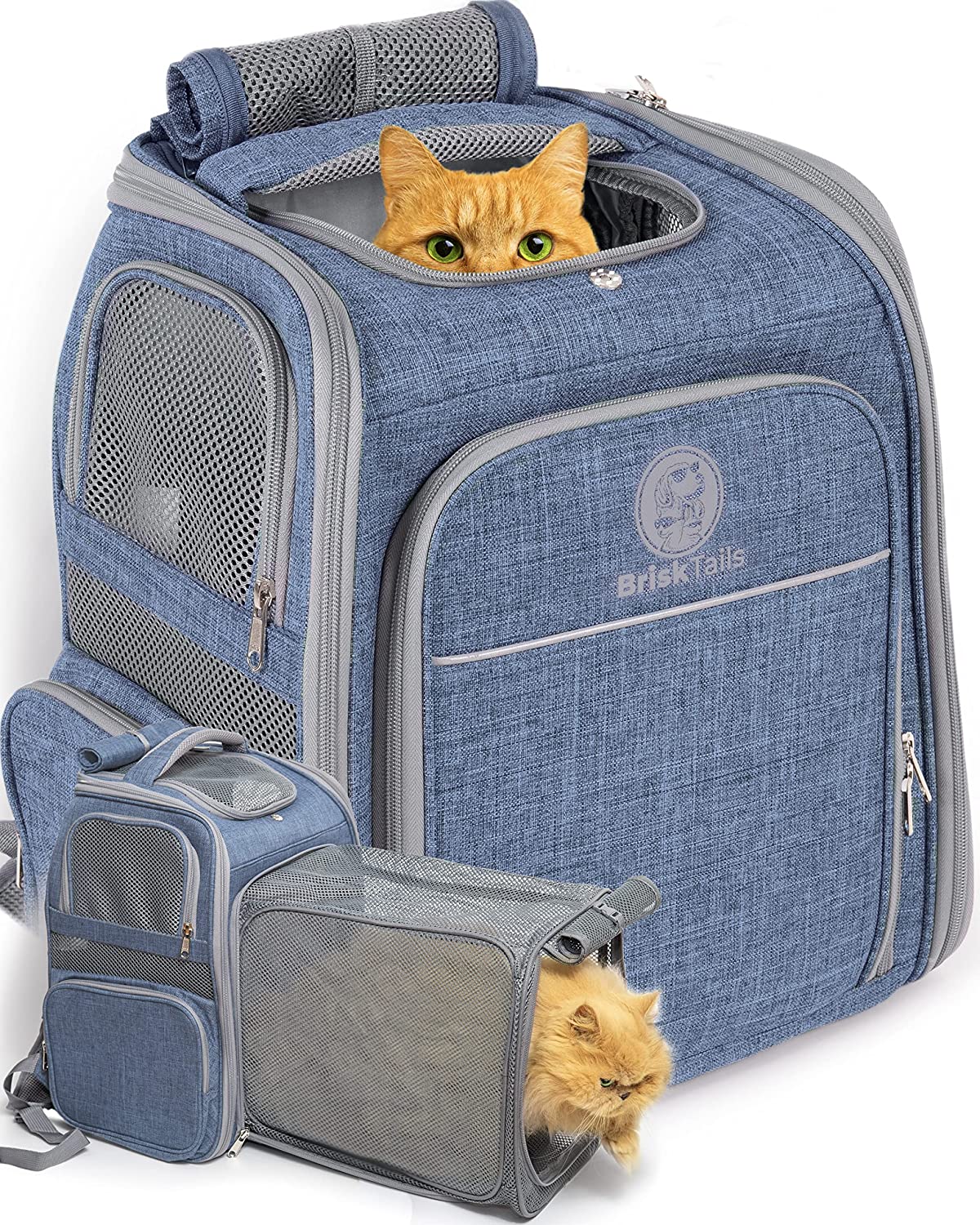 18 Best Cat Backpacks for Traveling Cats in 2022: Pet Carrier Backpacks  from PetAmi, Lollimeow, TexSens