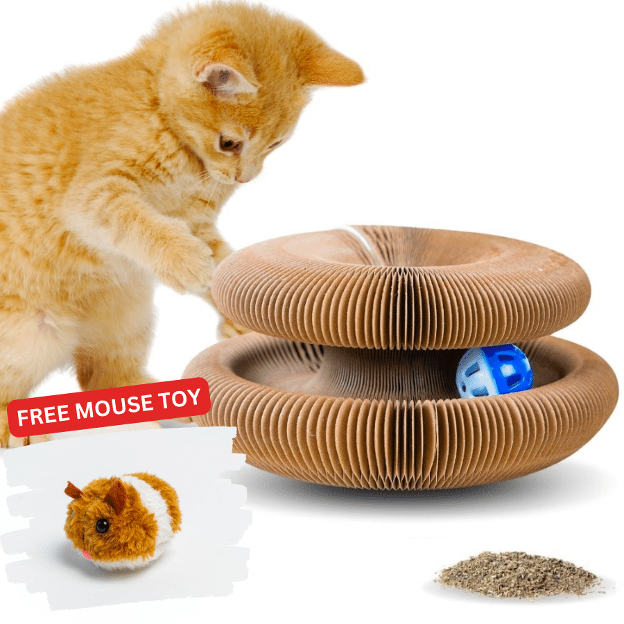 Free Mouse Interactive Cat Toy with Magical Organ Scratching Board