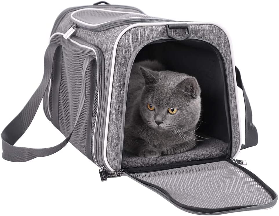 7. Petisfam Top Load Cat Carrier Bag