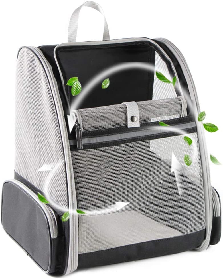 10. Texsens Innovative Traveler Cat Backpack