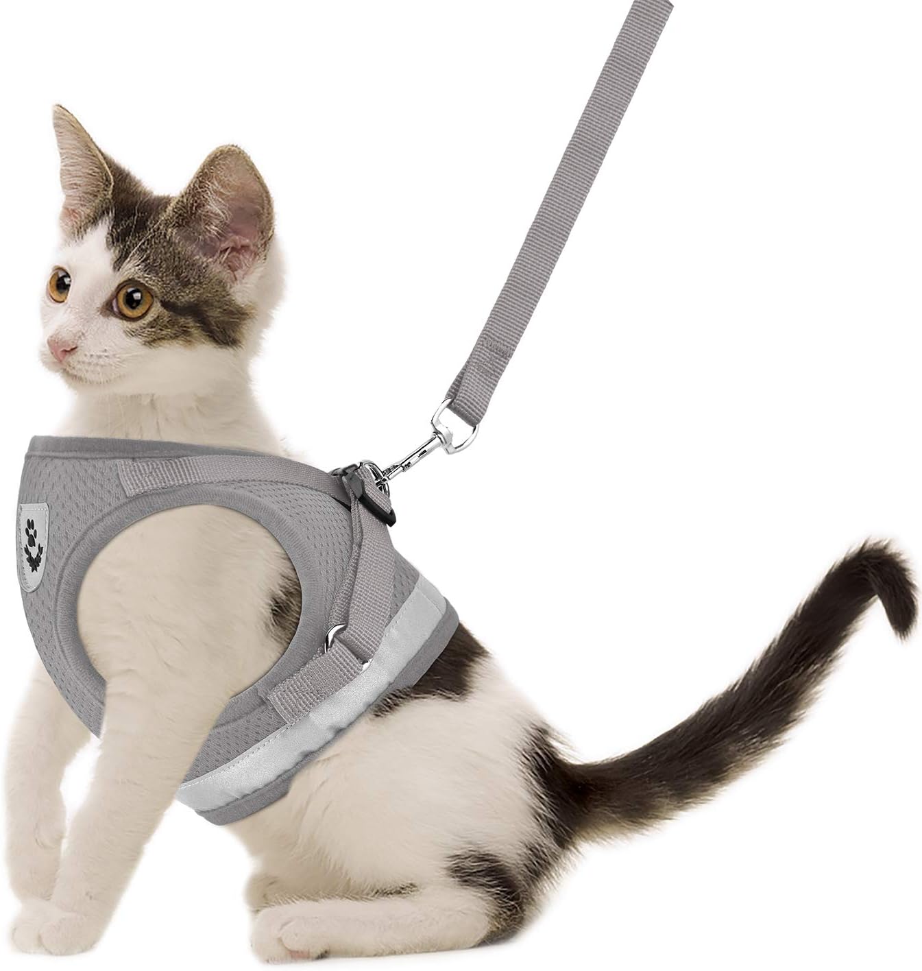 8. GAUTERF Cat Harness with Leash Set