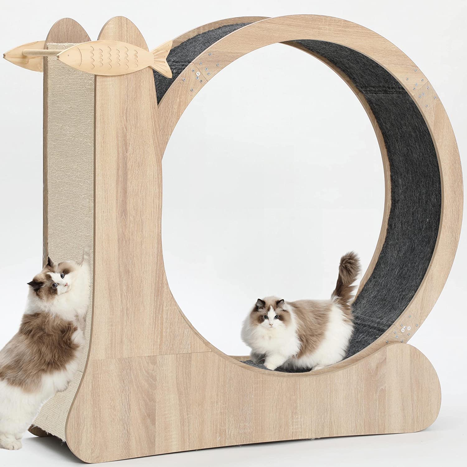 7. CYlively Cat Wheel Exerciser with Cat Scratcher