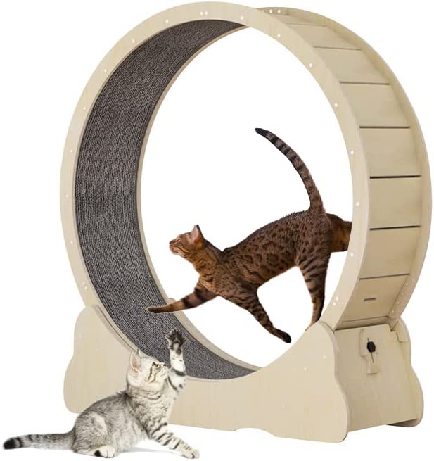 6. Homegroove Cat Exercise Wheel