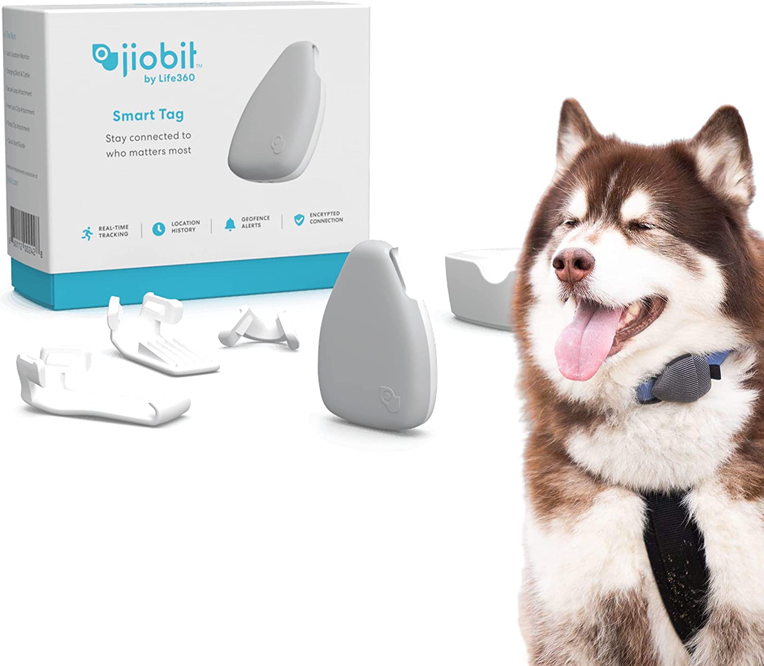 3. Jiobit Smallest GPS Tracker for Cats and Dogs