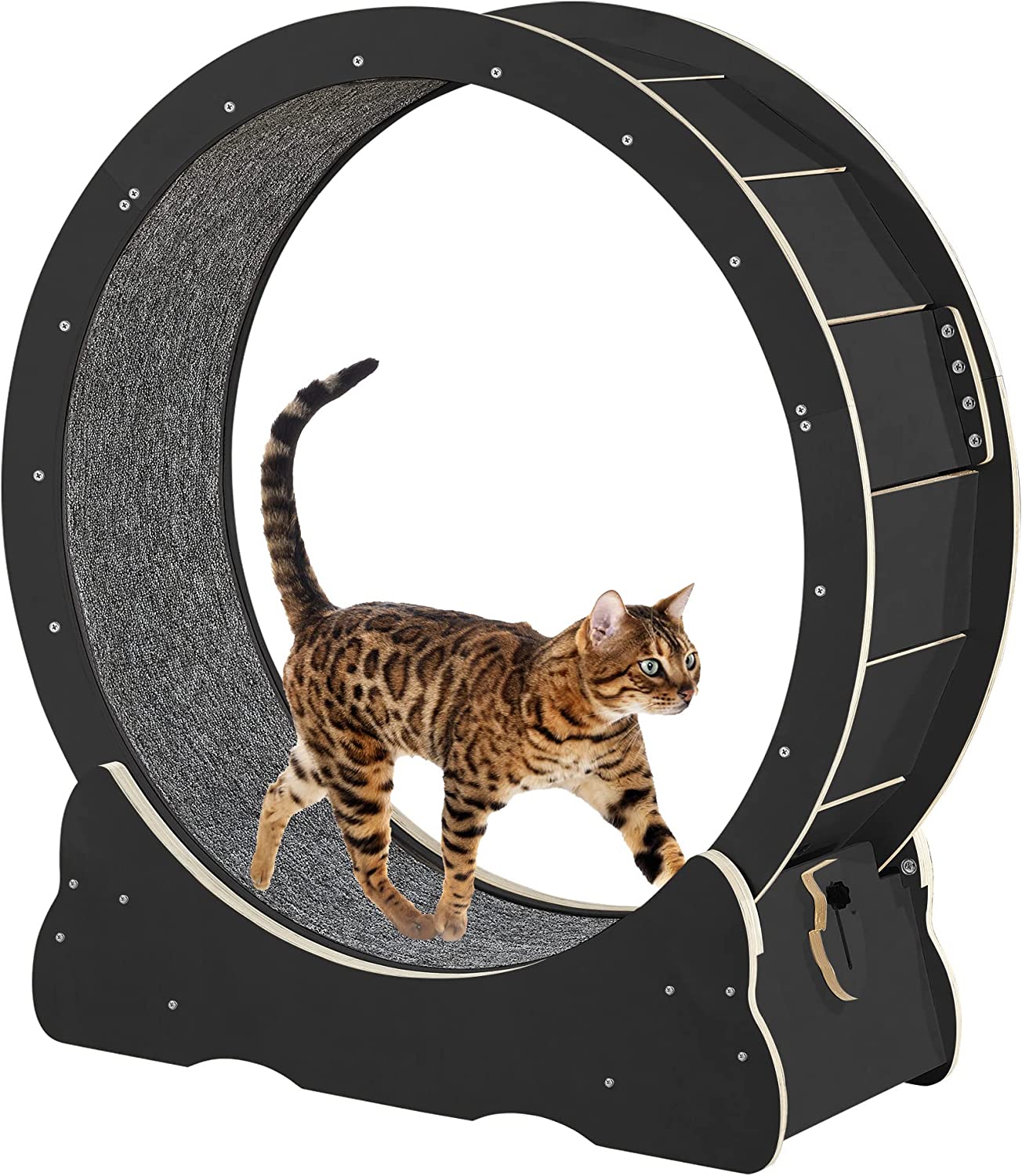 8. Smart Hacks Cat Exercise Wheel