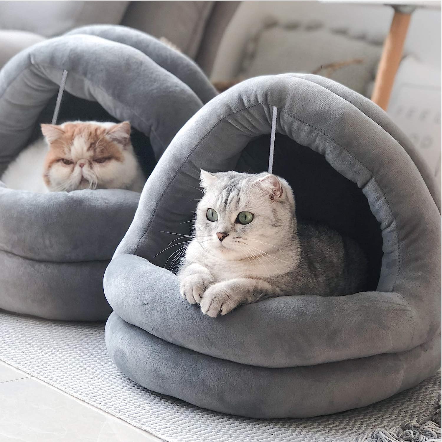 10. Tempcore Cat Bed for Indoor Cats