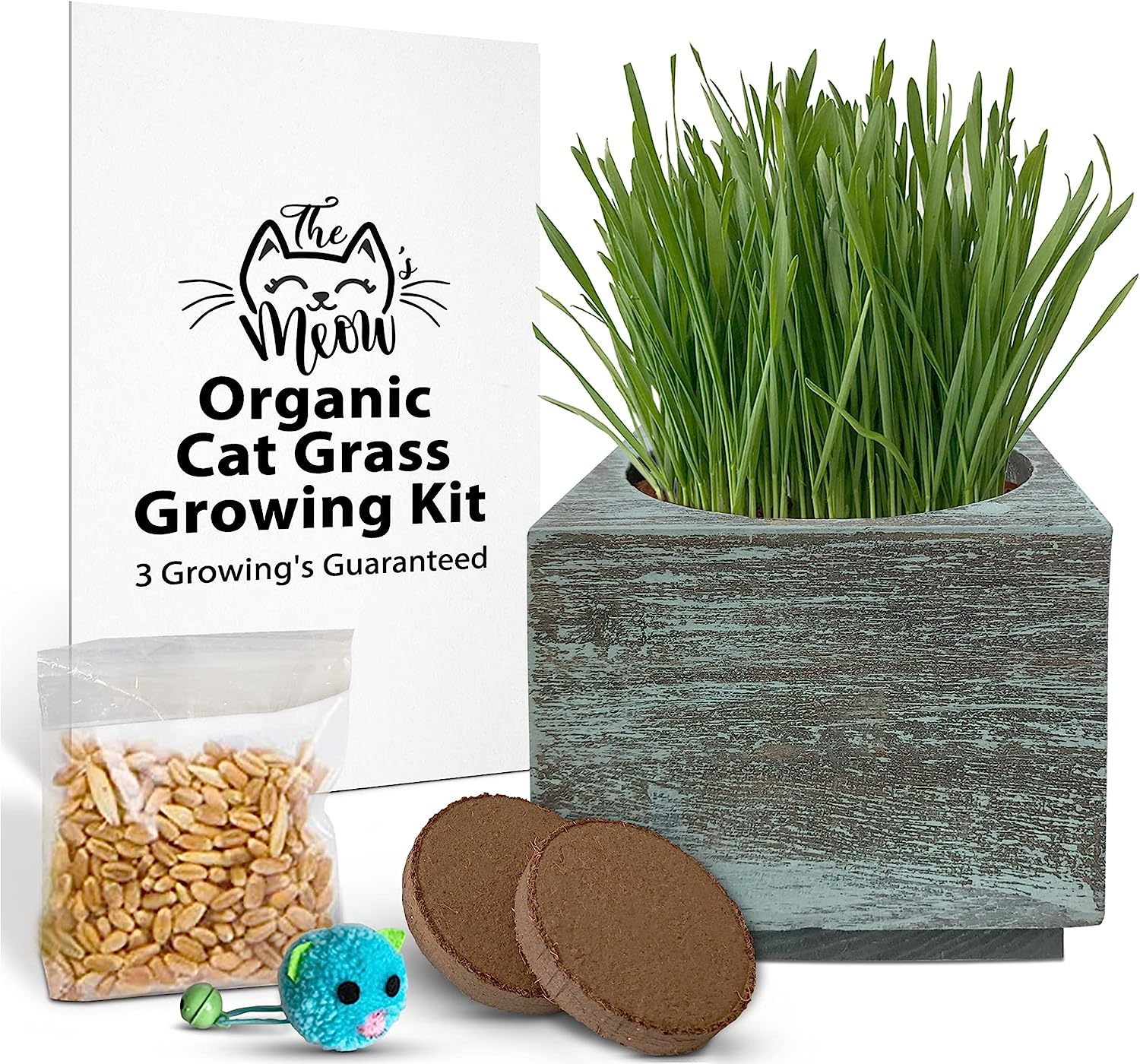 Cali Kiwi Pros Complete Organic Cat Grass Kit