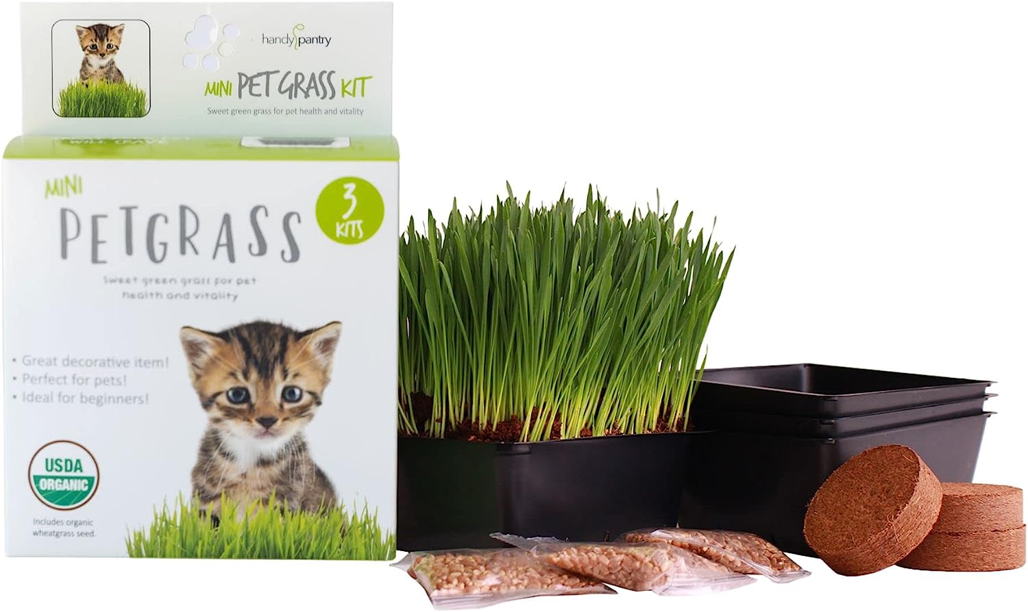 Handy Pantry Organic Cat Grass Kit