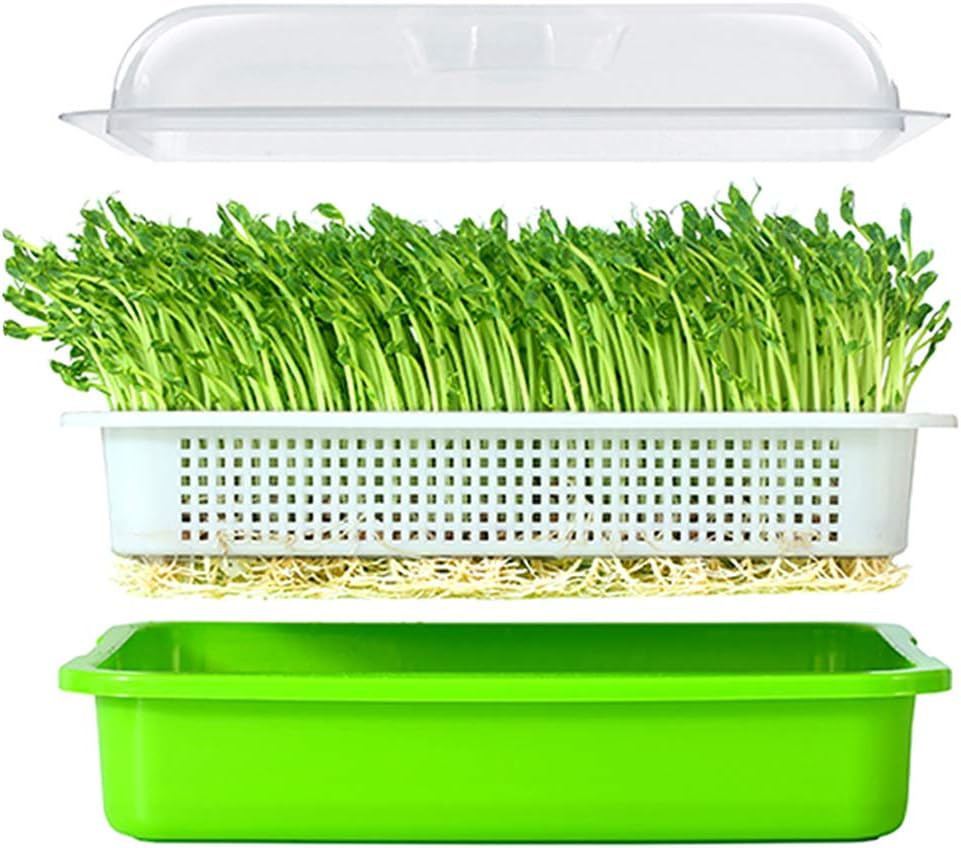 LeJoy Garden Seed Sprouter Tray