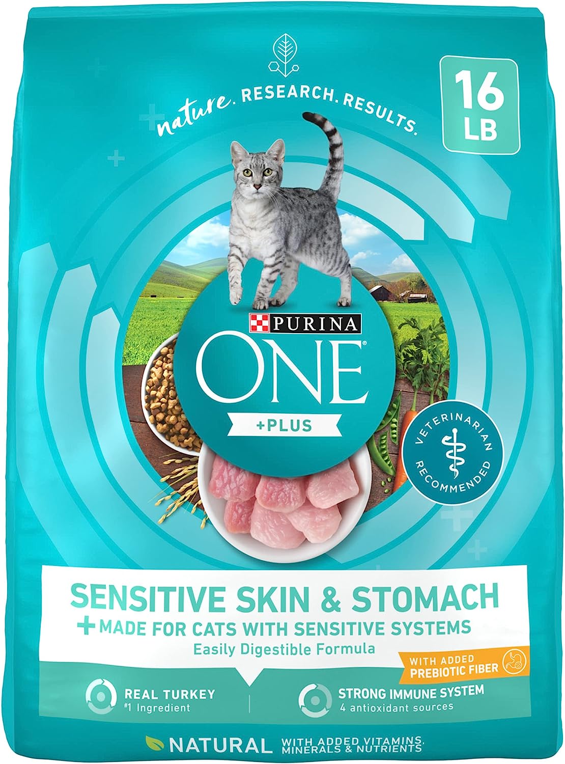 Purina ONE Sensitive Stomach, Sensitive Skin Natural Dry Cat Food