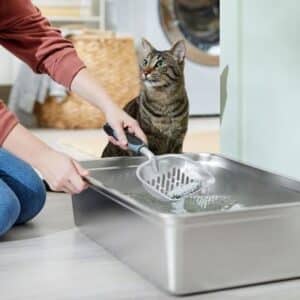Frisco Cat Metal Litter Scoop