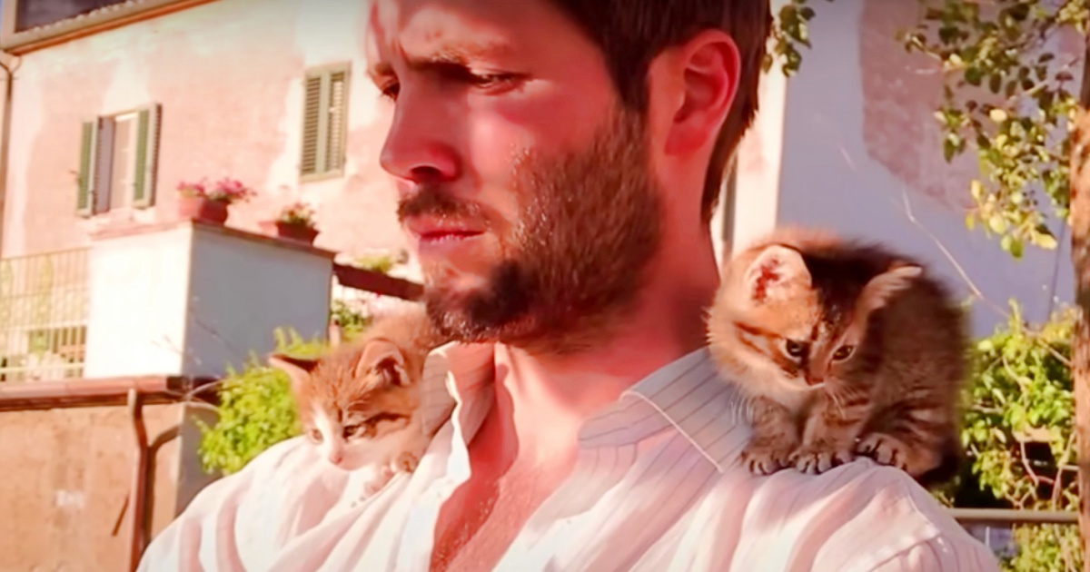 New child Kitties Imprint On Guy Who Stored Them, Stick To Him ‘Like Glue’