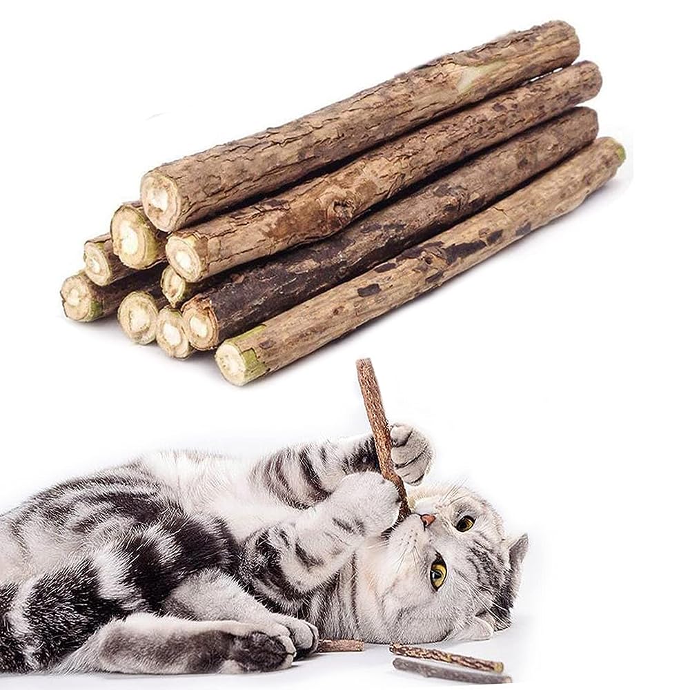 Meowy Janes Matatabi Chew Sticks - An All Natural Silvervine Cat Toy and  Cat Treat - Catnip Alternative