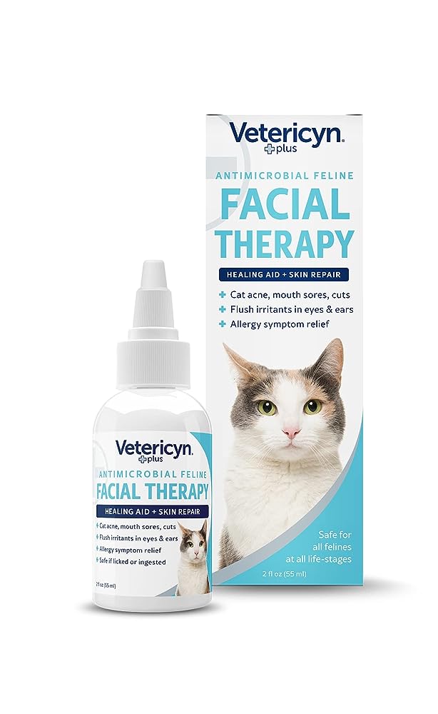 6 Best Cat Acne Treatments