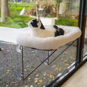  Zakkart Cat Window Perch 