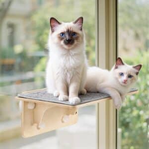  Pecute 2-in-1 Large Cat Window Perch & Wall Shelves,