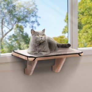PETSFIT Cat Window Perch, Natural Solid Wood Cat Hammock