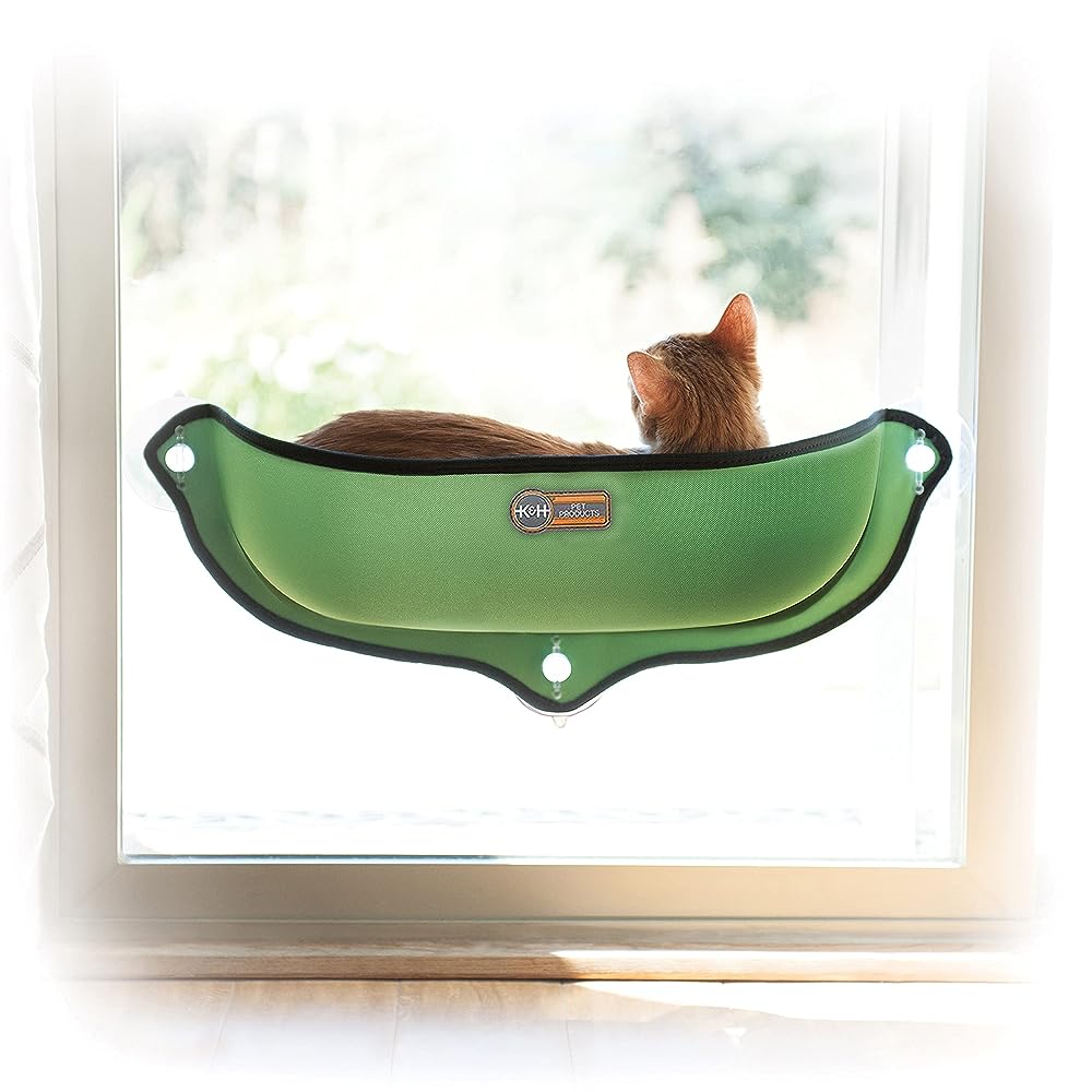 AMOSIJOY Cordless Cat Window Perch, Cat Hammock for Wall with 4 Suction  Cups, Anchor&Screw for Two Ways of Installation, Solid Metal Frame and Two