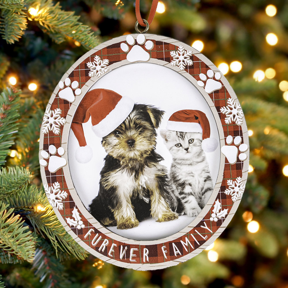 Furever Family Christmas Cat Frame Ornament - Holiday Decor for Cat Lovers!