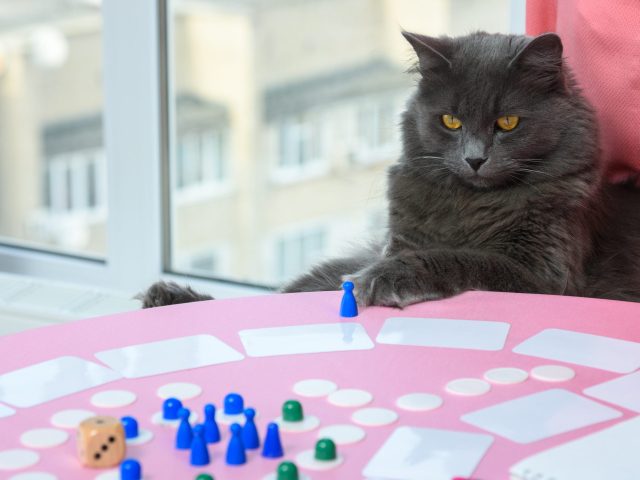 cat board game