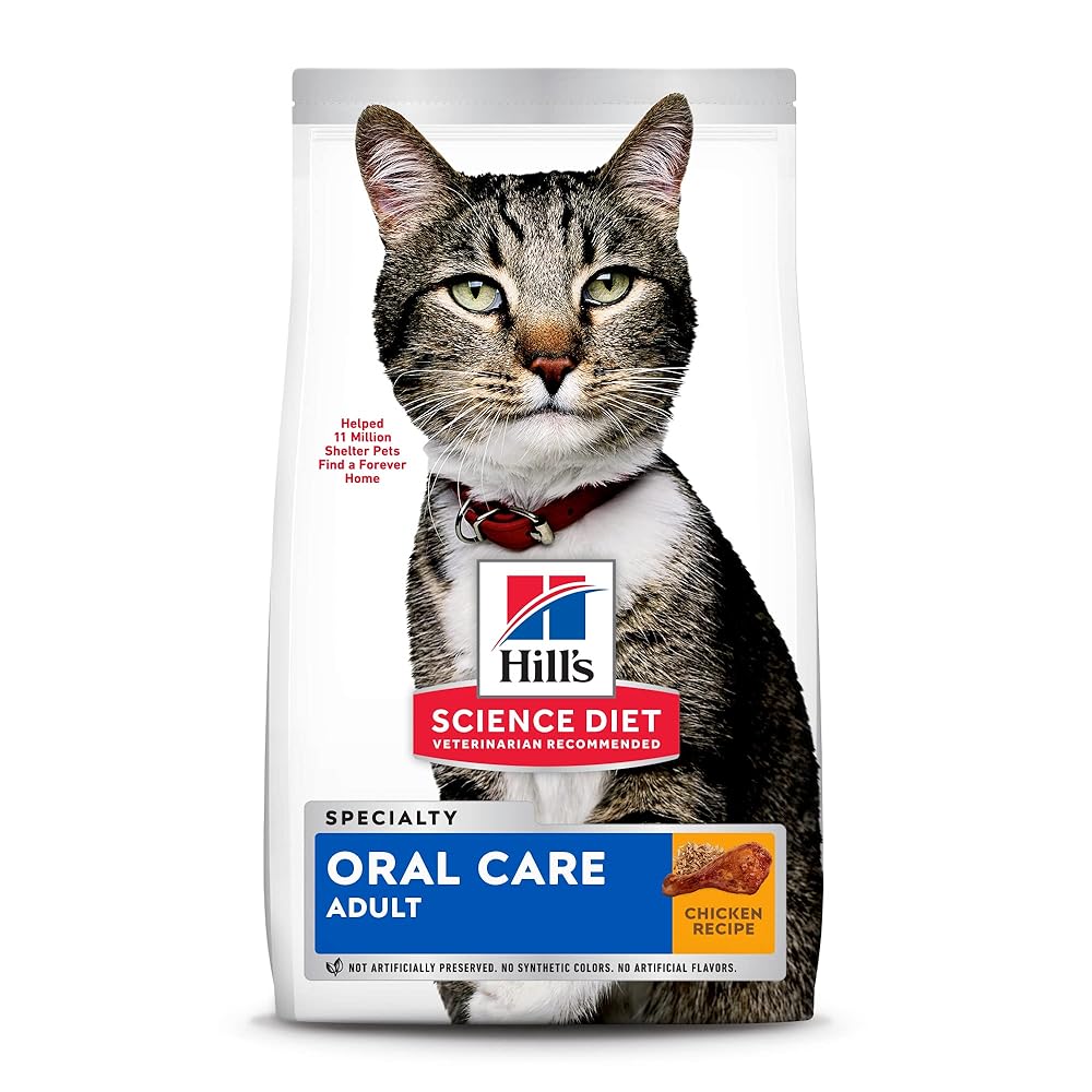 6 Best Cat Foods for Dental Health