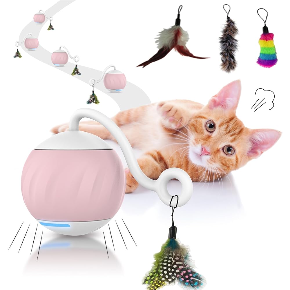 The Best Interactive Cat Toys 2023