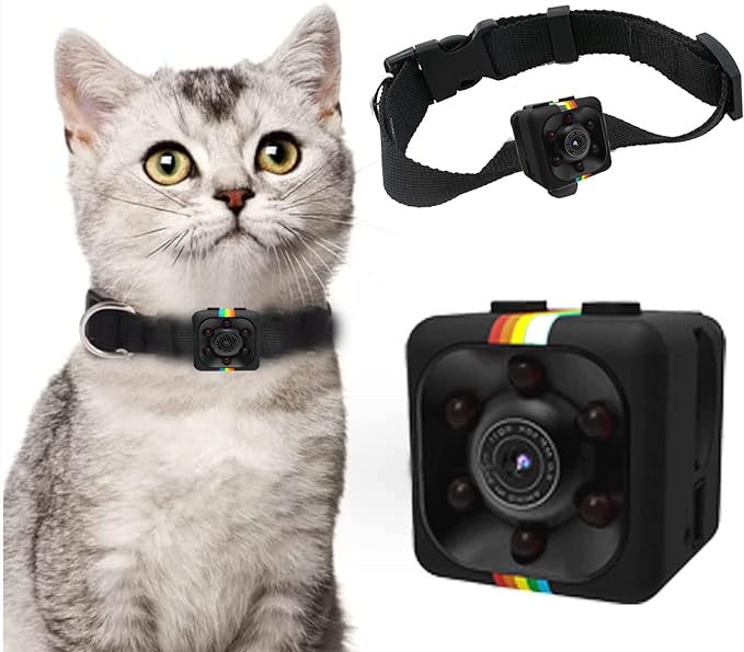Neruyinso No WiFi Needed Pet Collar Camera & Cat Collar Camera