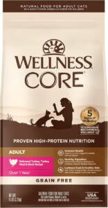 Wellness CORE Adult Dry Cat Food 