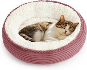 Love's cabin Round Donut Cat