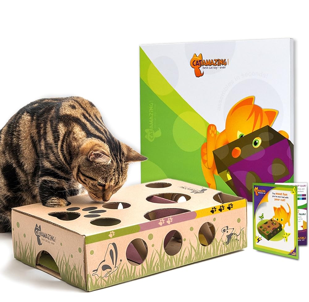 TOKLYUIE Cat Toy Indoor for Cats Interactive Best Kitten Puzzle Toys Sellers Kitty-Treasure Chest Puzzles Smart Stimulating Mental Stimulation Brain Games