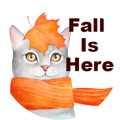 Fall is Here for Cat Lovers!  Products