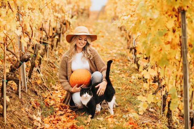 AVOIN colorlife Hello Pumpkin Fall Happy Harvest Maple Leaf Throw