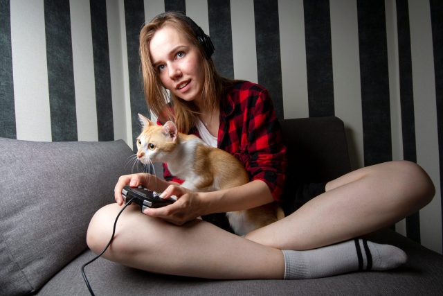 cat video games