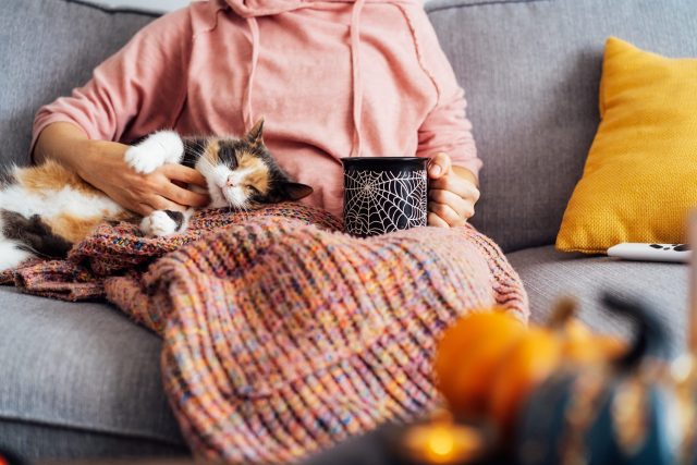  Sleepwish Cat Blankets for Cat Lovers Cute Cat Blanket