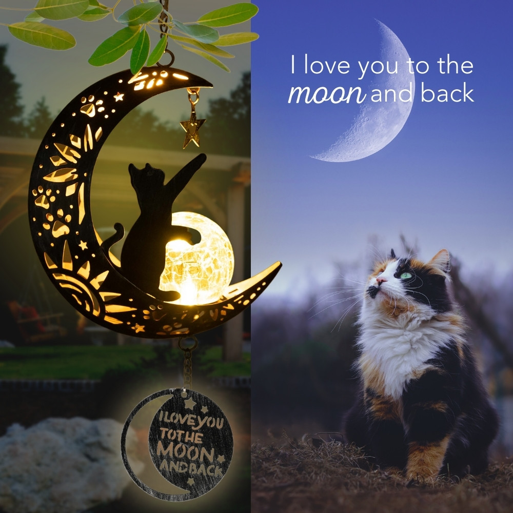 iHeartCats I Love You To The Moon & Back