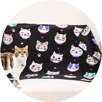 NEW Purrfect Cat Blankets  Products