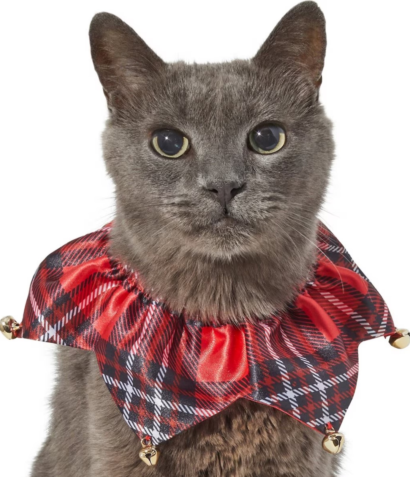 Frisco Red Plaid Cat Ruffle Collar with Bells