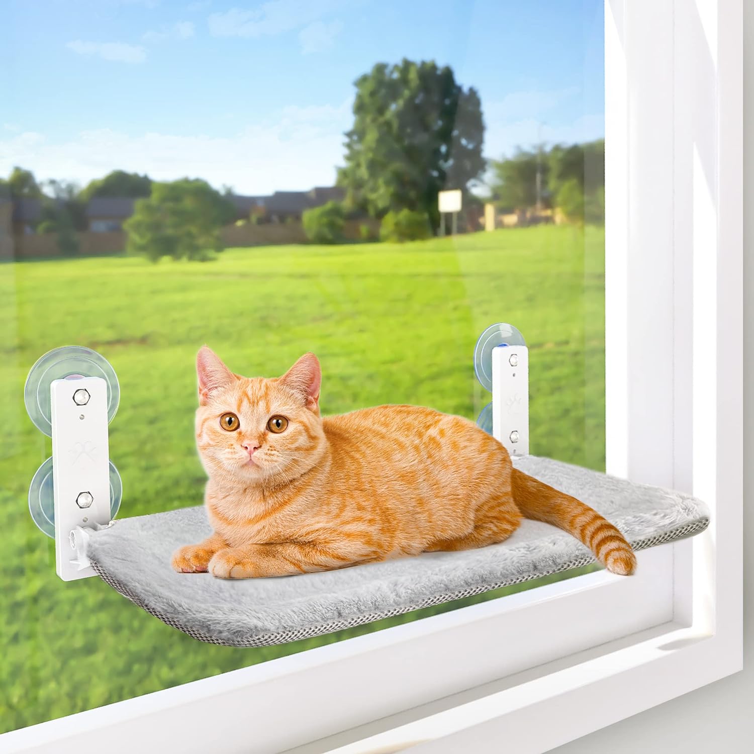 AMOSIJOY Cordless Cat Window Perch