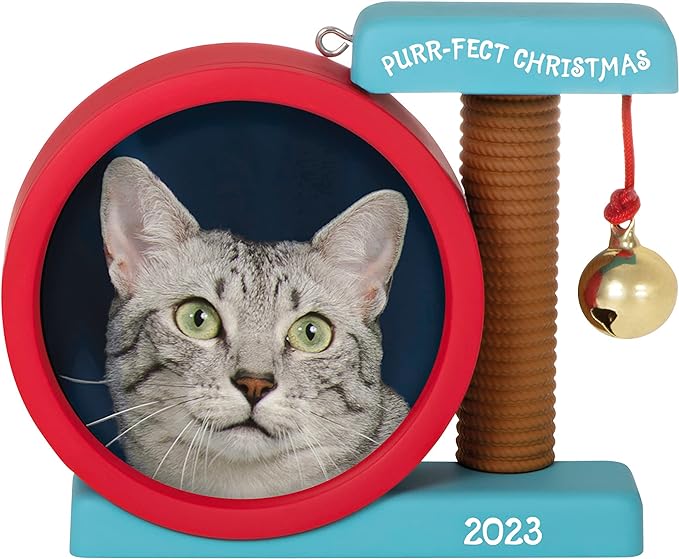 Hallmark Keepsake Christmas Ornament 2023, Purr-FECT Christmas Photo Frame