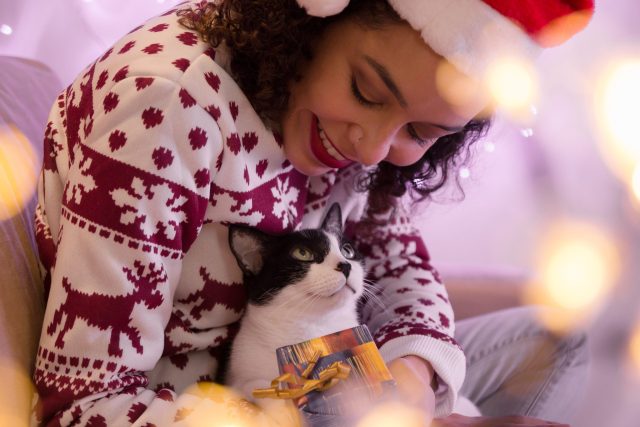 ugly Christmas sweater with cats