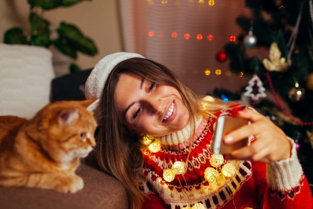 ugly Christmas sweater with cats