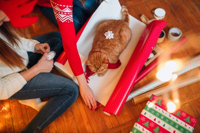 Christmas gifts for cat lovers