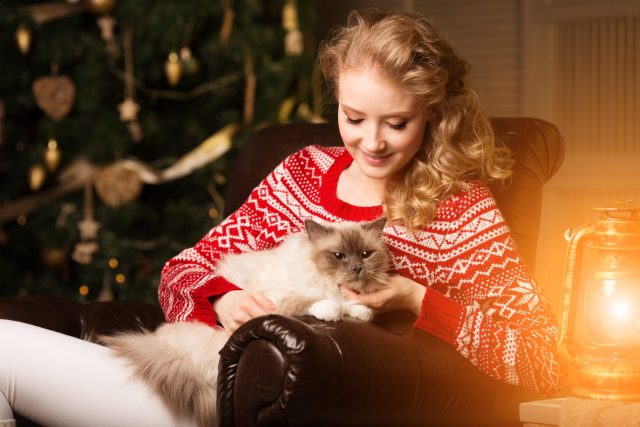 ugly Christmas sweater with cats