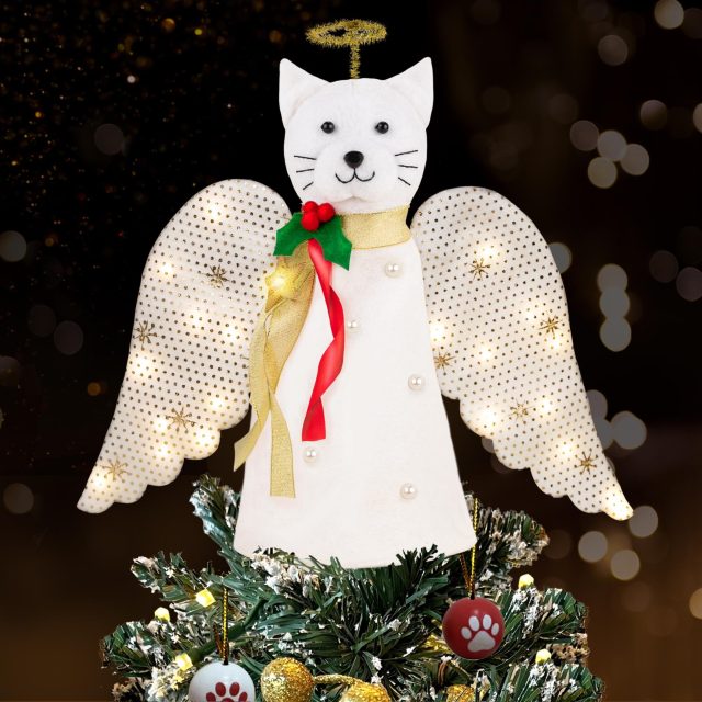 cat angel