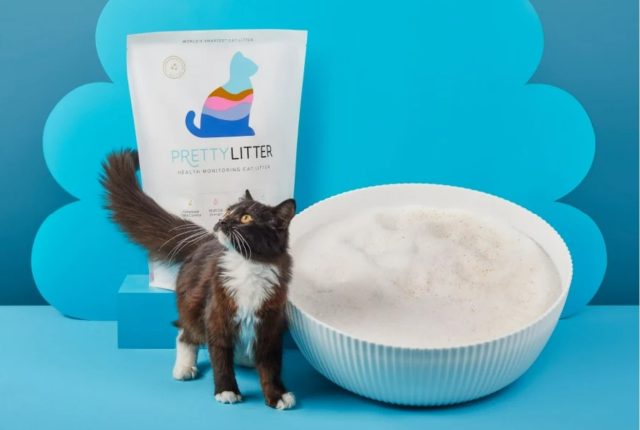 silica gel cat litter