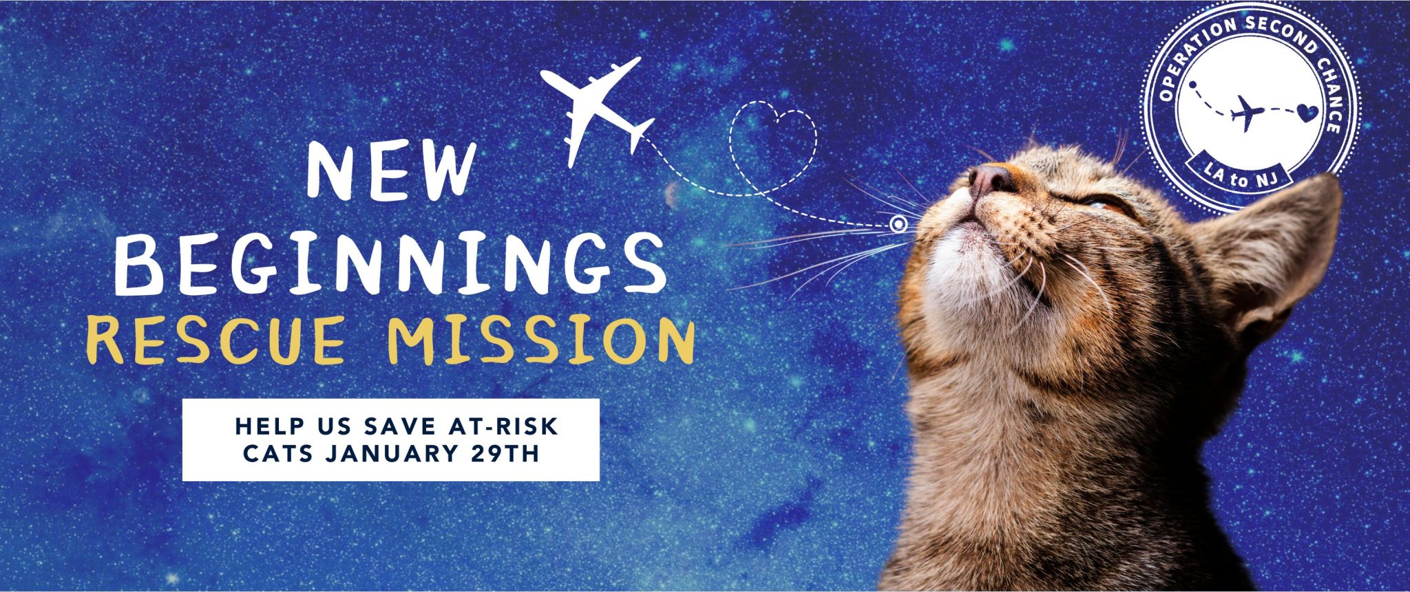 New Beginnings Rescue Mission 2024 - iHeartCats.com