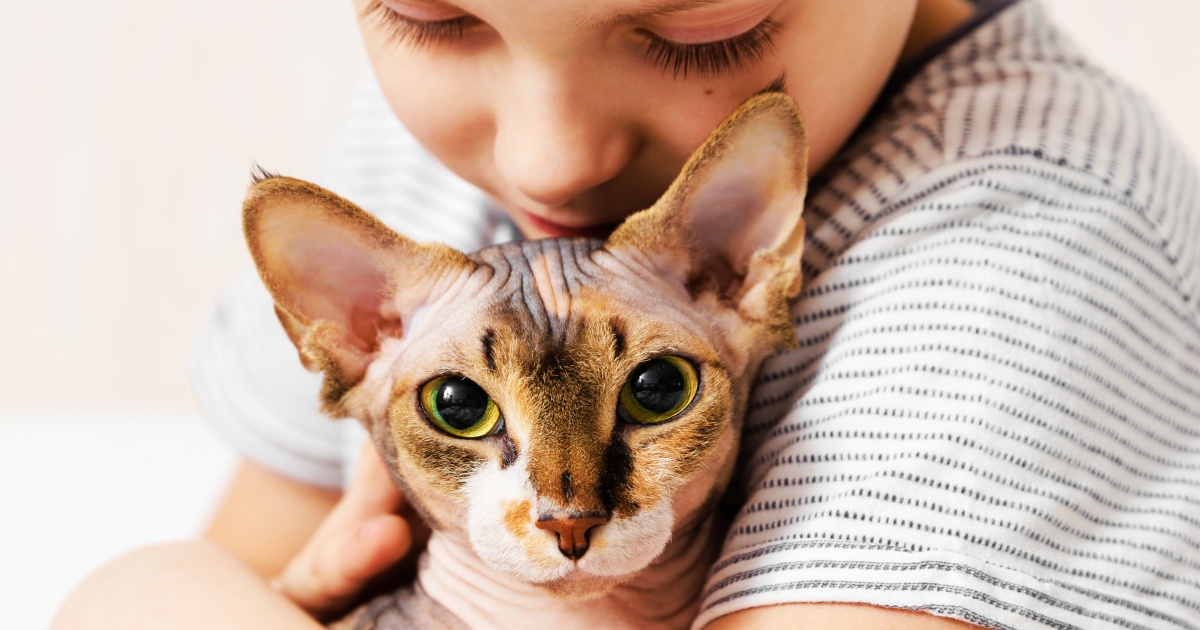 Boy Meets Disabled Sphynx Kitten, Says She ‘Feels Like Heat Play-Doh’