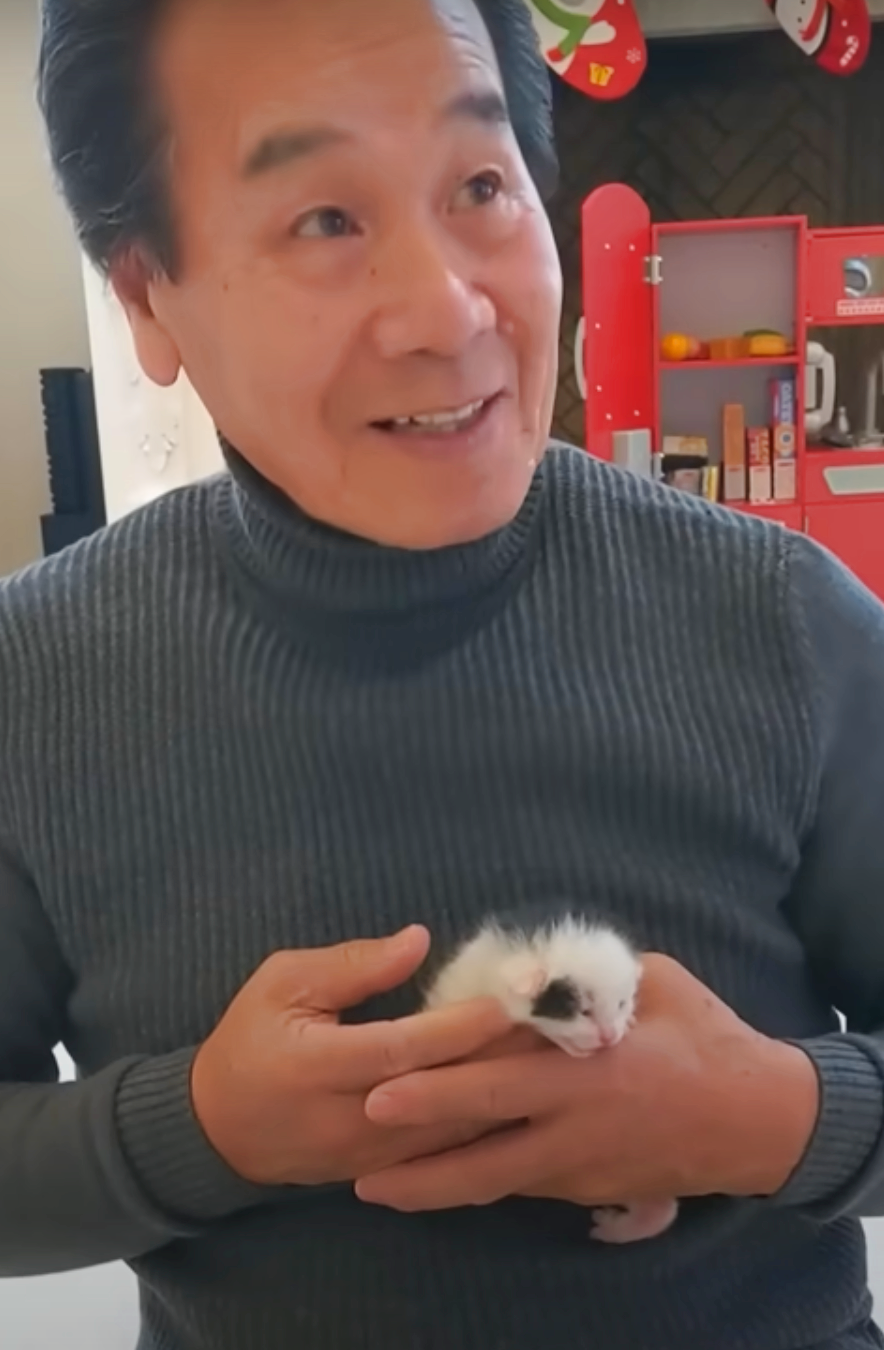 Doting Dad s Infectious Joy When He Holds Litter Of Foster Kittens doting-dad-s-infectious-joy-when-he-holds-litter-of-foster-kittens