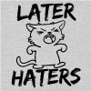 Later Haters Kitty Sweatshirt Heather Grey - Image 2