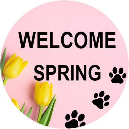 Spring Has Sprung for Cat Lovers Products